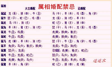 1970狗|1970年属什么生肖 70年属什么生肖今年多少岁